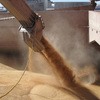 Wheat export