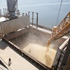 Wheat export