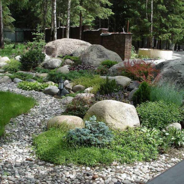Example of a rock garden
