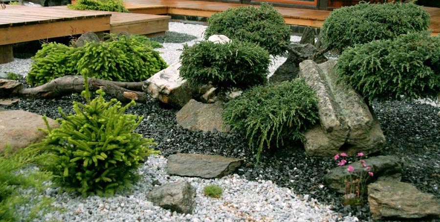 Stones and plants laid in the yard