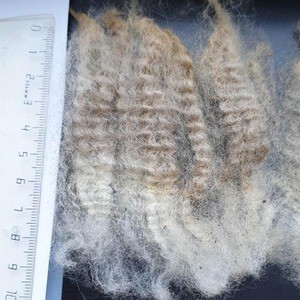 Sheep wool from the Stavropol region