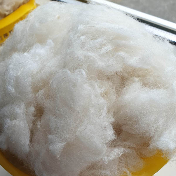Sheep wool from the Stavropol region (white)
