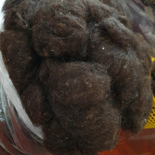 Sheep wool for export from Russia (dark)